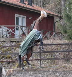 Random Shot 160318-8